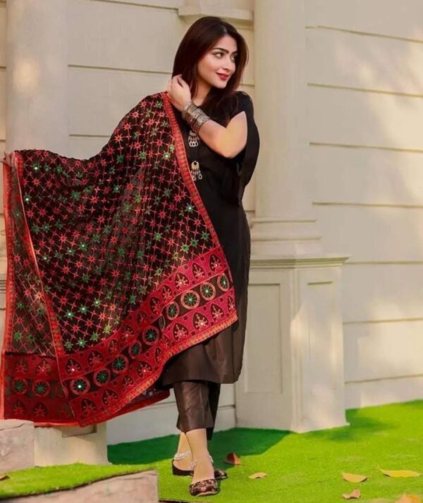 Indian Dupatta Chiffon Sindhi Tanka